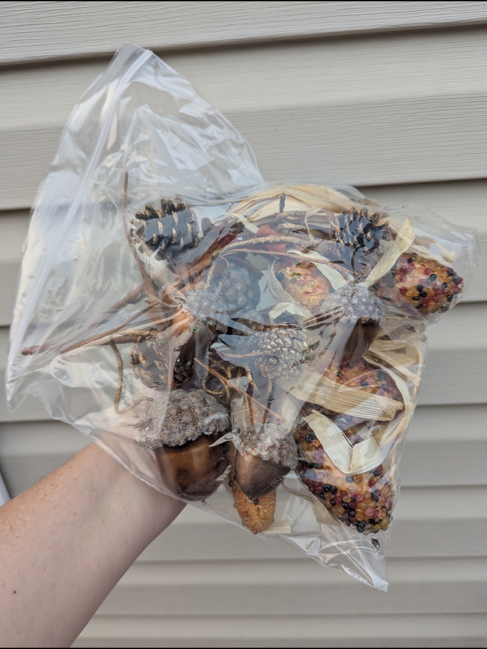 Autumn Decorative Acorn and Pinecone Picks - Brown & Natural